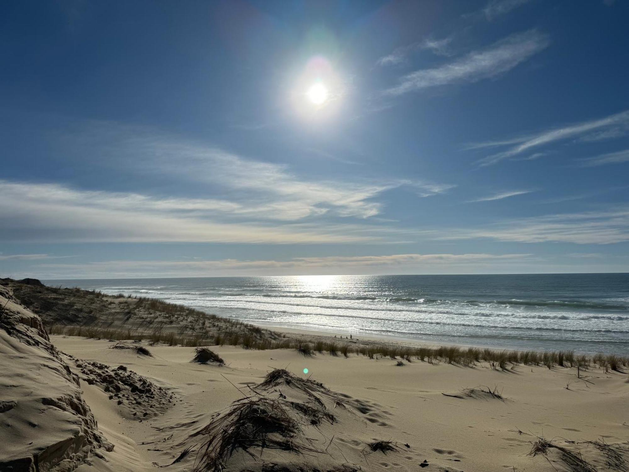 Relax Plage Et Bassin 르 포르게 외부 사진