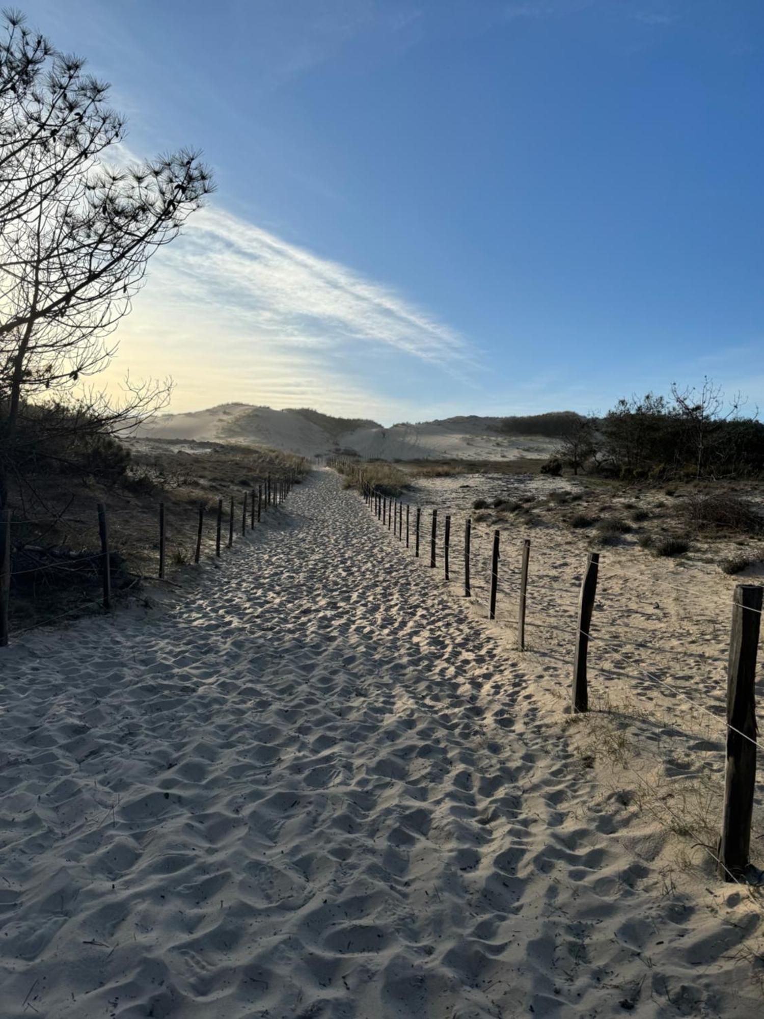 Relax Plage Et Bassin 르 포르게 외부 사진